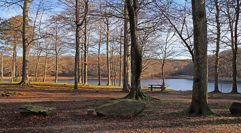 Arboretum du Lampy, Saissac, France
